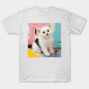 3 color cute cats T-Shirt